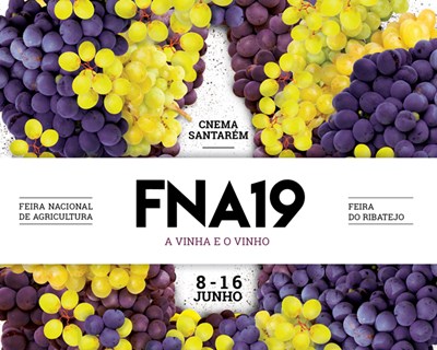FNA 2019 dedicada à vinha e vinho