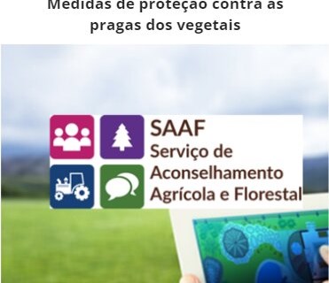 Formação de competências nas áreas temáticas do SAAF: “Medidas de proteção contra as pragas dos vegetais”