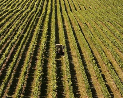 Fórum Agrogarante “Conversas de Agricultura” a 21 de novembro em Leiria