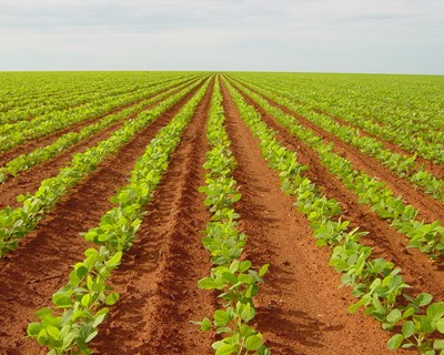 Fórum Agrogarante “Conversas de Agricultura” a 7 de novembro em Vila Real