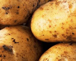França regista produção muito elevada de batata