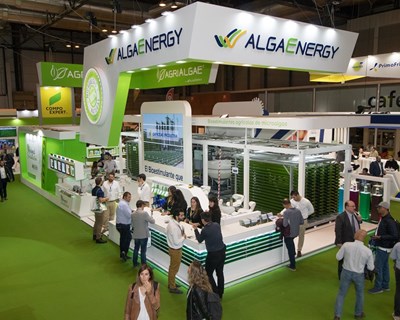 Empresa de bioestimulantes AlgaEnergy apresenta novas soluções na Fruit Attraction