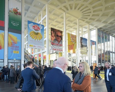 Fruit Logistica apresenta relatório de tendências  do setor da distribuição para 2019