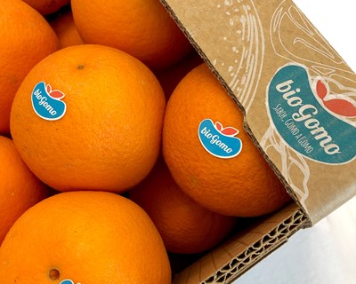 Frusoal quer exportar laranja biológica Biogomo para a Escandinávia