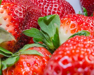 Frutas e legumes com ‘resíduo-zero’: o que são e quais as estratégias para os produzir - Bibliografia