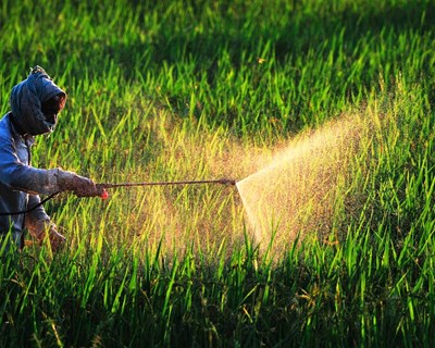 GAL apoiam a pequena agricultura em tempo de Covid-19