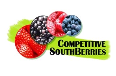 GO-CompetitiveSouthBerries organiza ação de demonstração de camarinhas e amoras silvestres