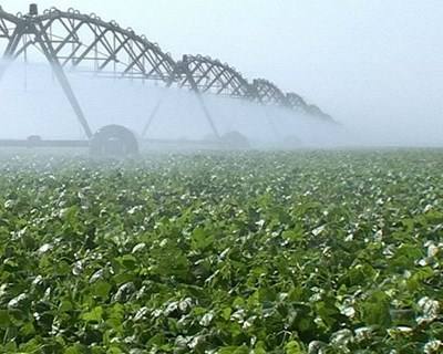 Golegã recebe 14º Encontro de Agricultores