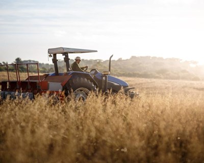 Governo abre aviso para renovação do parque de tratores agrícolas