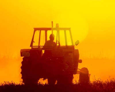 Governo abriu concursos de €80 milhões para a agricultura e agroindústria