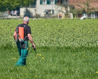 Governo antecipa pagamento de fundos comunitários aos agricultores