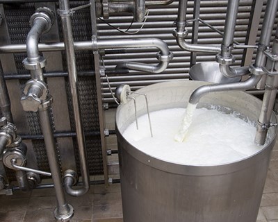 Governo anuncia medidas de reforço ao setor do leite
