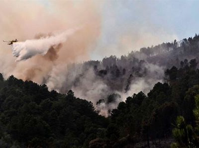 Governo dispõe meio milhão de euros para agricultores afetados por incêndios