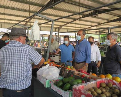 Governo dos Açores abre aviso para cessação de atividade agrícola e instalação de jovens agricultores