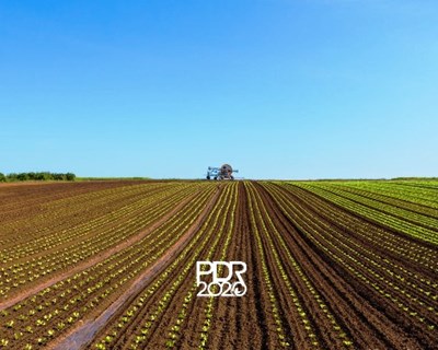 Governo lança concurso de €1 milhão para apoiar inovação agrícola e rural