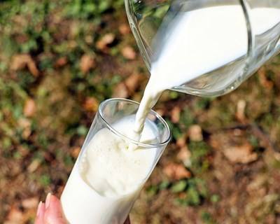 Governo lança novas medidas de apoio ao setor do leite