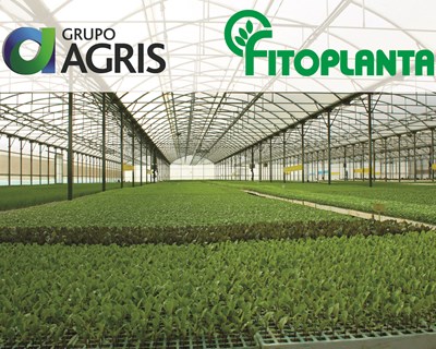 Grupo Agris adquire Fitoplanta e entra na produção