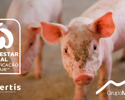Grupo Montalva é o primeiro em Portugal a obter certificação de Bem-Estar Animal em toda a cadeia de valor