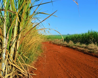 Grupo Operacional irlandês estuda como o biogás pode melhorar a sustentabilidade nas explorações