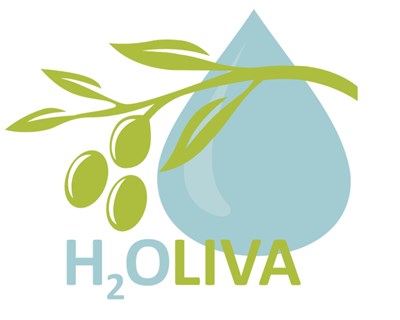 H2Oliva | Setor produtivo juntos na promoção da eficiência do uso da água no olival