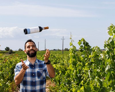 Herança Sanheiro Vinhos Castelão que mantêm a tradição viva