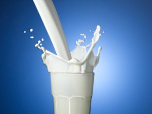 Holanda triplica produção de leite nas últimas décadas