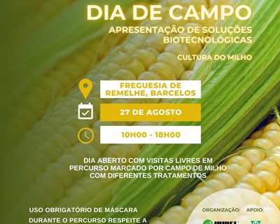 Hubel Verde realiza Dia de Campo para a cultura do milho