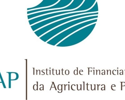 IFAP tem novo conselho diretivo