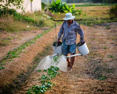 III Fórum Pioneer debate a agricultura competitiva e sustentável