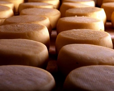 Importações de queijo cresceram quase 9% face a 2015
