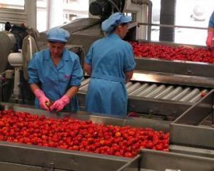Indústria do tomate processou 1,2 milhões de toneladas em 2014