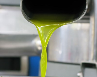 INE prevê subida do preço do azeite na ordem dos 30%
