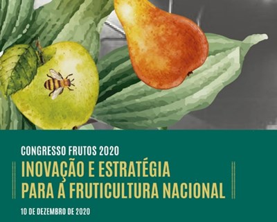 Inovação e estratégia para a fruticultura nacional: O Congresso Frutos 2020