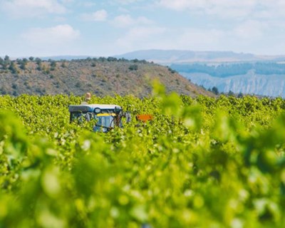 Inovação na agricultura: o papel da União Europeia