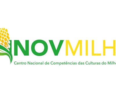 InovMilho apresenta tecnologias sustentáveis em Dia de Campo