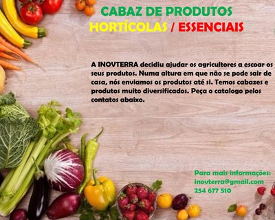 INOVTERRA lança venda de cabazes de produtos hortícolas