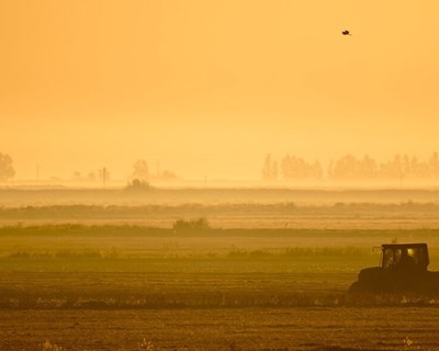 Inquérito online aos agricultores europeus sobre Agricultura e Alterações Climáticas