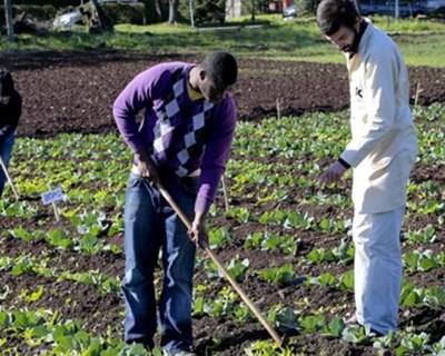 Instituto Superior de Agronomia celebra Ano Internacional dos Solos