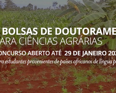 ISA promove concurso de 5 Bolsas de Doutoramento para Ciências Agrárias