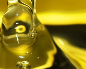 Itália: Produção de azeite poderá descer 40% na campanha 2014/15