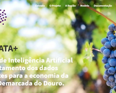 IVDP e NOVA IMS usam Inteligência Artificial  para otimizar comercialização dos vinhos do Douro e do Porto
