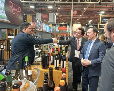 IVDP levou quatro dezenas de empresas à feira internacional de vinho - a Vinexpo