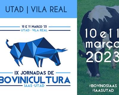 IX Jornadas de Bovinicultura