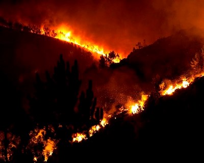 Já arderam mais de 106 mil hectares de floresta este ano no país