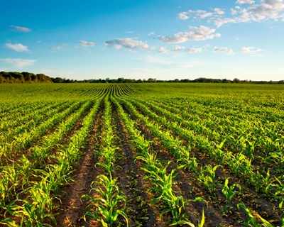 Já é conhecido o próximo Secretário de Estado da Agricultura e do Desenvolvimento Rural