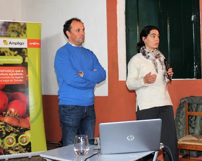 Jornadas Tomate Indústria: Syngenta apresenta soluções para proteção da cultura