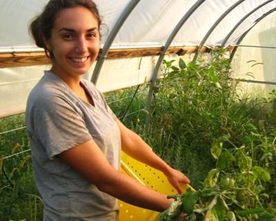 Jovens Agricultores: Comissário Europeu prepara novo pacote de ajudas