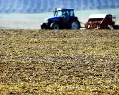 Jovens agricultores já investiram €356 milhões através do PDR 2020