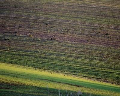 Jovens Agricultores lideram procura na Bolsa Nacional de Terras