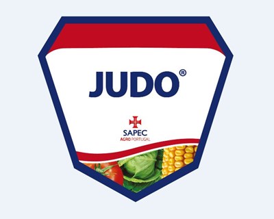 Judo é a nova solução da Sapec Agro no combate à flavescência dourada
